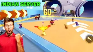 Pet mania in free fire Map-1