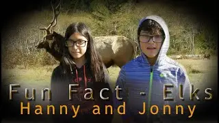 Fun facts  - Elks