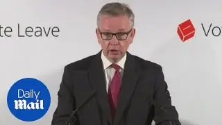 Michael Gove: Cameron 'deserves to be remembered as a great PM' - Daily Mail