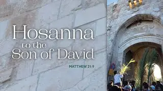 Passion ~ Palm Sunday  | Faith & St. Peter's | March 29, 2026 Worship