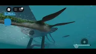 Bocil random main game Robrox hiu🦈