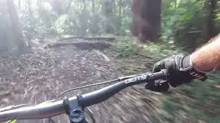 Mtb Red sands, Austi, Thirroul, Wollongong, Screaming trees into a new flow trail