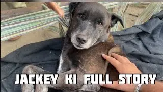 Jackey ki story 😳#storytime #minizoo #petsvlog