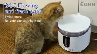 Fonte de Agua PET Wifi Inteligente