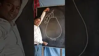 How to draw a Guava for kids #guava#art#viral#drawing#trend#howto#youtubeshorts