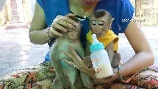 Amazing Baby Mori And Dodo Look So Sweet, Dodo Like Mori
