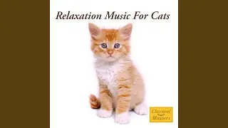 Cat Intelligence