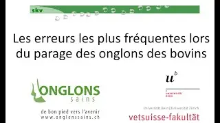 Les erreurs les plus fréquentes lors du parage des onglons des bovins