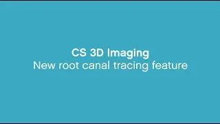 CS 3D Imaging Software - New Root Canal Tracing Feature
