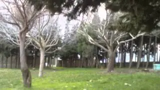 قرية عين الفوار