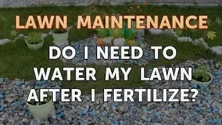 Do I Need to Water My Lawn After I Fertilize?