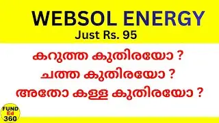 Websol Energy System Share തകർച്ചക്ക് കാരണമെന്ത് ? Stock Analysis #websolenergyshare