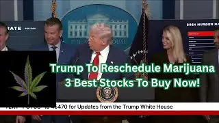 3 Best Marijuana Stocks to Buy Today! Trump will Reschedule Medical Marijuana