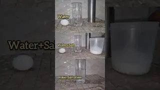 Floating egg🥚science experiment. Magic Trick! 😱 | Quick Home Experiment #Shorts #shortvideo #yt