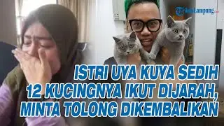ISTRI Uya Kuya Sedih 12 Kucingnya Ikut Dijarah, Minta Tolong Dikembalikan