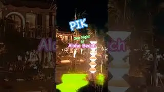 One Night at Aloha Beach