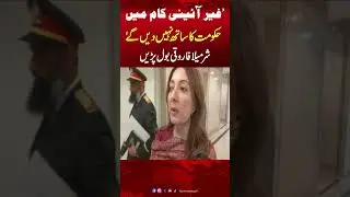 Sharmeela Farooqi Speaks Up Against Unconstitutional Acts | PPP vs PMLN | Hum News | Pakistan