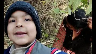 झाड़ियां साफ करते हुये हमें मिला भालू ll Daily Pahadi Lifestyle Vlog ll