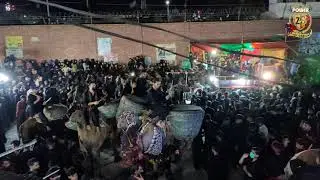 7 Muharram (Day (Sehwan sharif)