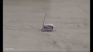 Pause the video and try to make it land on Argentina 🇦🇷 