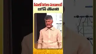 సీమలో సిరులు పండాలంటే జగన్ పోవాలి  #shorts #rayalaseema #ntramarao #appolitics #tdpofficial