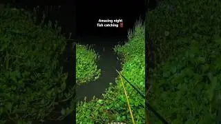Amazing Dark Night fish catching! | Single hook fishing #fish #shorts #viral  #fishingtechniques