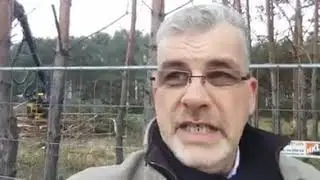 Abholzung eines ganzen Kiefernw&auml;ldchens in Adlershof