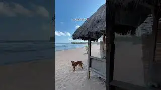 REKOMENDASI WISATA PANTAI GUNUNG KIDUL YOGYAKARTA 2024 HITS DAN VIRAL WISATA WAJIB DIKUNJUNGI JOGJA