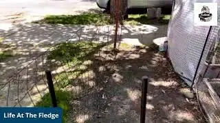 Every Damn Day - Life At the Fledge