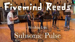 Wenbin Lyu - Subsonic Pulse
