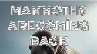 MAMMOTHS ARE COMİNG BACK !!  #animals #animalsai #ai