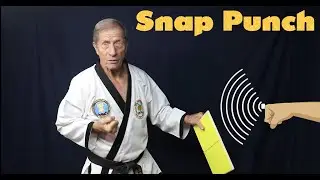 Martial Arts Lesson in One Minute: Physics of the Snap Punch