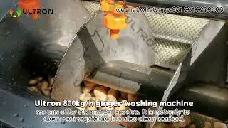 ginger washing and peeling machine sale | ginger processing machine | ginger washer price
