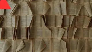 The LDS Double Standard With The Journal Of Discourses