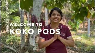KOKO PODS YouTube Channel | Cocoa-related information | Dark Chocolates | Sustainable Living