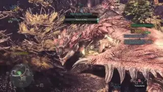MHW Dailies:1