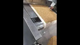 How to choose the right barley roasting machine? --Tunnel microwave roaster