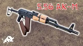 Pioneer Arms- AK47 5.56! There's Hope!