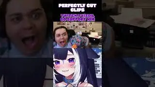 Perfectly Cut Zoil Clips  #trending #twitch #funny #gaming