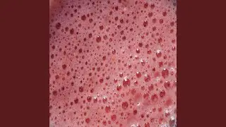 Frozen Strawberries