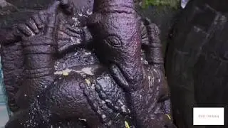 Bhimashankar-The sacred forest |श्रावणातील भीमाशंकर|Drone Videography.