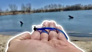 Pre-Spawn Crappie Fishing Beat Down With TINY Plastics In Drying Up Lake