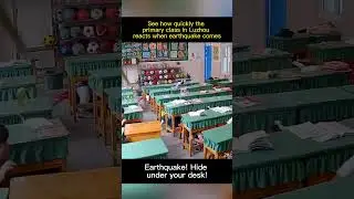 See how quickly theprimary class in Luzhoureacts when earthquake comes#pandaeyes