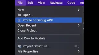 Profile or Debug APK