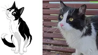 Found the Cat Who Starred in the Famous Felix Commercial 🐱✨