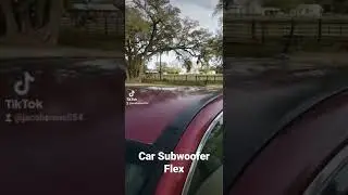 Car Subwoofer Flex