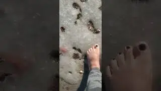 ASMR- Barefoot Walking #barefoot #asmr #toes #baresoles