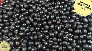 Jam frozen/preservation for the whole year in the right way | Kalo jam frozen process | Java Palm...
