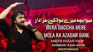 Mera Baccha Mere Mola Ka Azadar Bane Ameer Hasan amir New Noha 2025/1447