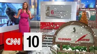 How A Groundhog Predicts The Weather?